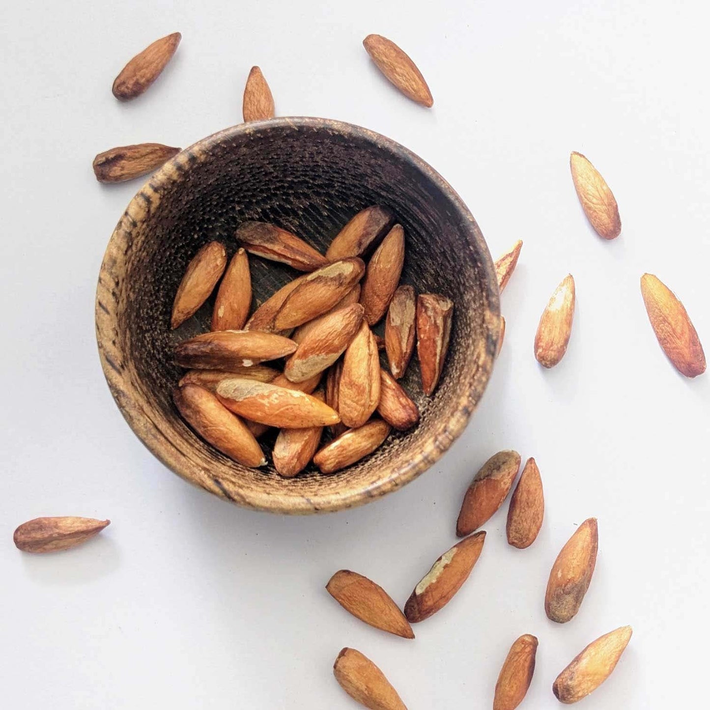 Premium Cattappa Seeds – Edible Almond Seeds for Healthy Eating & Nutrition | Ceylon organic