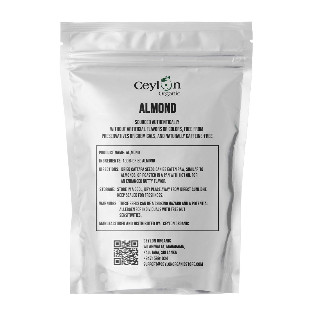 Premium Cattappa Seeds – Edible Almond Seeds for Healthy Eating & Nutrition | Ceylon organic