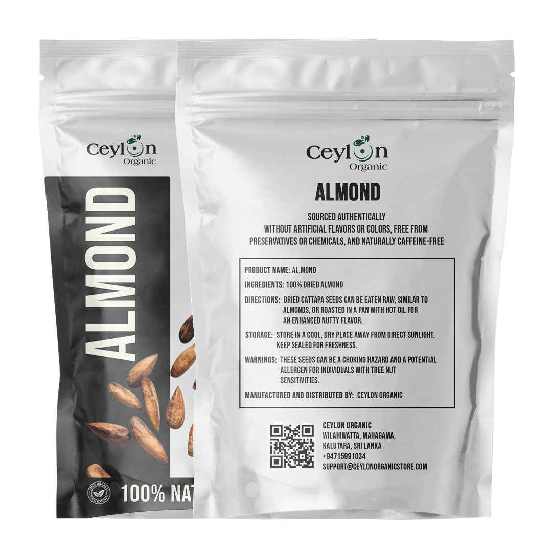 Premium Cattappa Seeds – Edible Almond Seeds for Healthy Eating & Nutrition | Ceylon organic