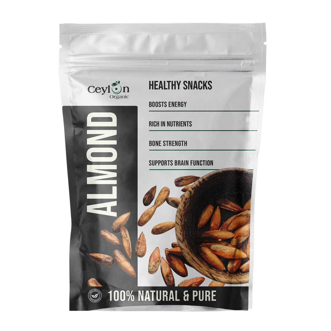 Premium Cattappa Seeds – Edible Almond Seeds for Healthy Eating & Nutrition | Ceylon organic