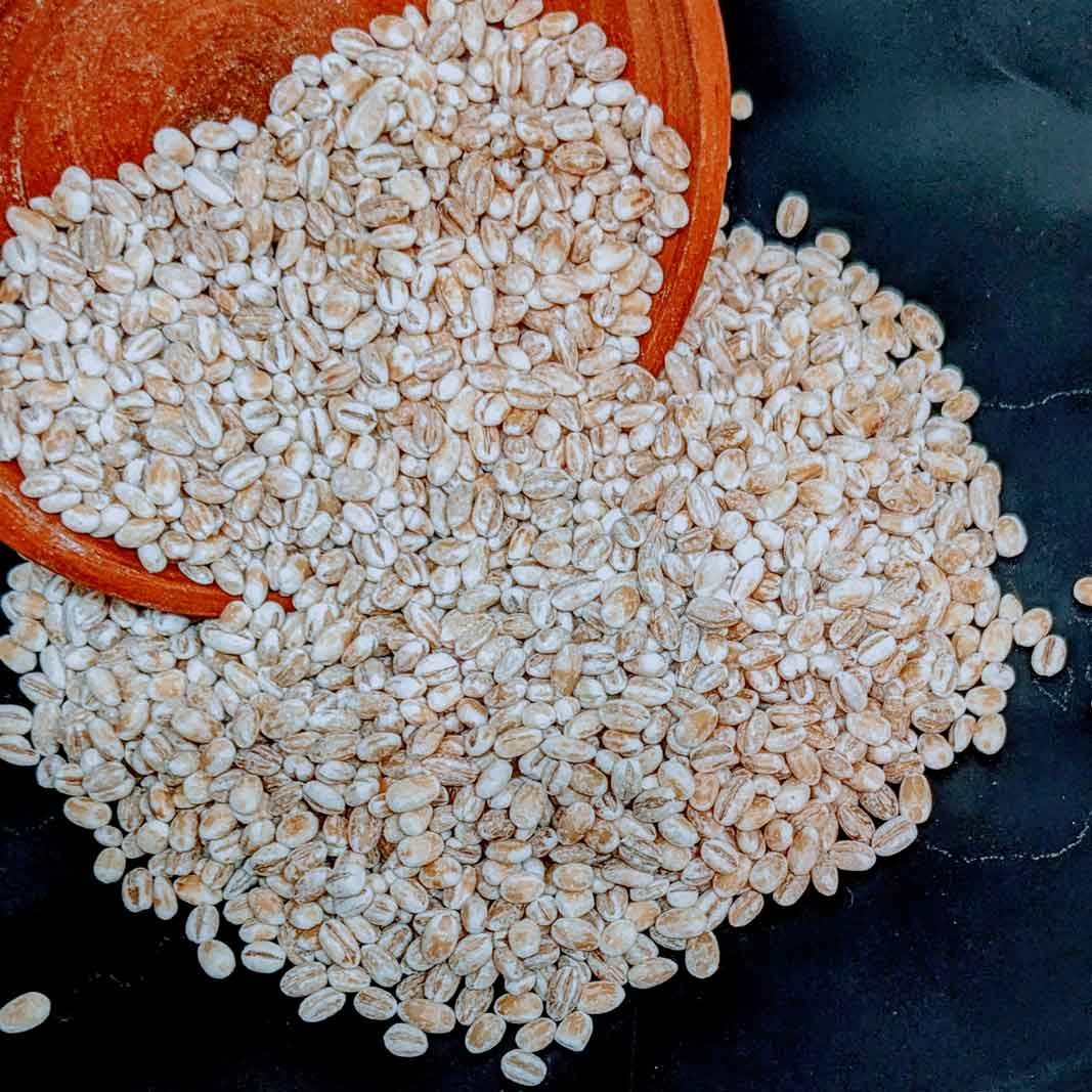 1kg+ Barley seeds ,common barley, grain barley, cereal barley | Ceylon Organic-5