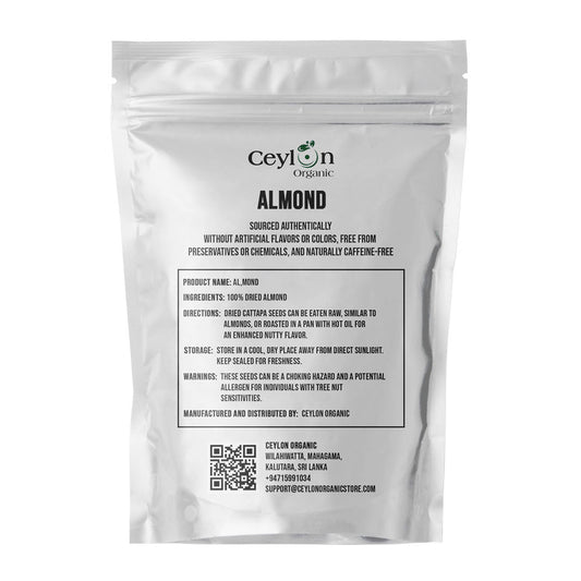 Premium Cattappa Seeds – Edible Almond Seeds for Healthy Eating & Nutrition | Ceylon organic